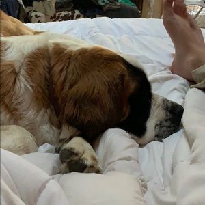 Meet your Posher, Alisha